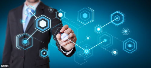 小满时节，灵鸽驿站与您相约 网络与信息安全软件开发之旅